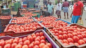 திண்டுக்கல் மாவட்டத்தில் தக்காளி அமோக விளைச்சல் - பாதியாக குறைந்தது விலை!