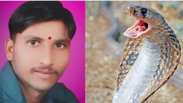 a-person-who-took-a-photo-with-a-snake-died-after-being-bitten-by-a-snake