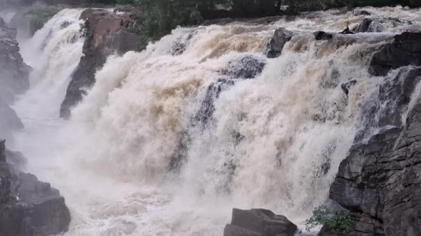 cauvery-floods-36000-cubic-feet-flow-to-hogenakkal