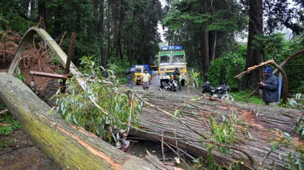 incessant-rains-in-nilgiris-affect-normal-life-red-alert