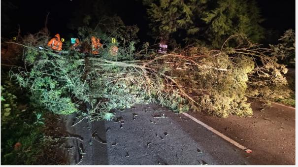 trees-blown-down-on-roads-by-force-winds-ooty-plunged-into-darkness