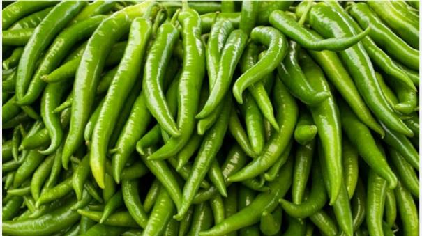 green-chilli-price-peaks-in-madurai-in-one-day