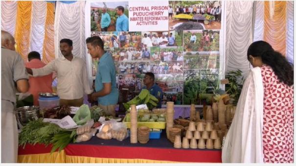 traditional-fruit-and-seed-food-festival