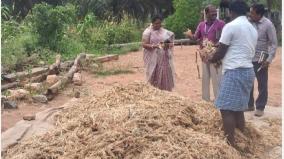 கோவையில் வேளாண் துறை சார்பில் ஊரக இளைஞர்களுக்கு திறன் மேம்பாட்டுப் பயிற்சி 