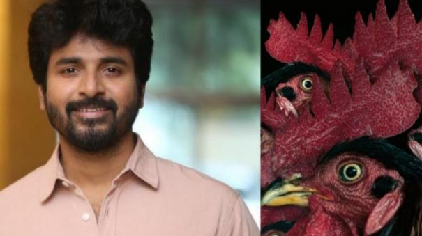 this-is-a-film-that-honors-the-directors-actor-sivakarthikeyan