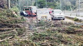 கொடைக்கானல், பழநியில் பலத்த மழை!