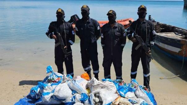 coast-guard-seized-450-kg-sea-cucumber-in-mandapam-waters