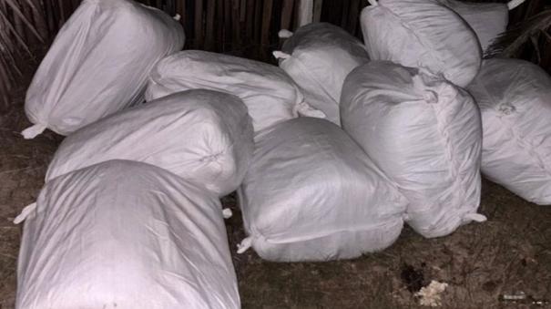 780-kg-beedi-leaf-which-was-to-be-smuggled-from-rameswaram-to-sri-lanka-was-seized