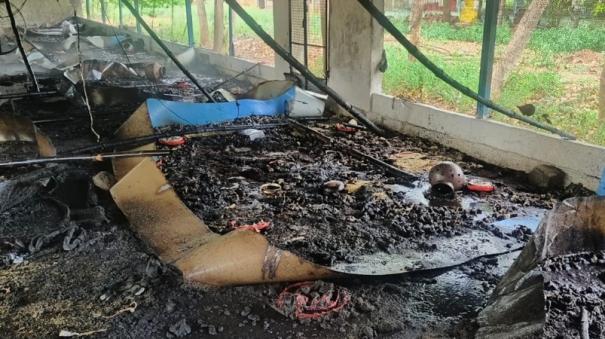 poultry-farm-fire-near-sendurai-6-000-chicks-killed