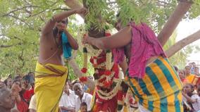 ஊர் செழிக்க அரச மரத்துக்கும் வேப்ப மரத்துக்கும் திருமணம்: கிராம மக்கள் திரளாக பங்கேற்பு @ திருவெறும்பூர்