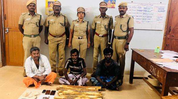 2-arrested-for-cutting-purasu-trees