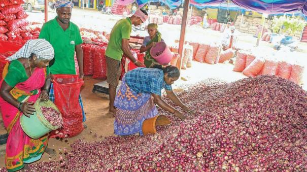 big-onions-cost-more-than-small-onions-in-trichy