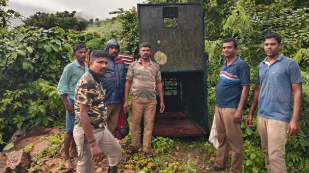 movement-of-leopard-near-makerai-forest-department-has-put-up-cages