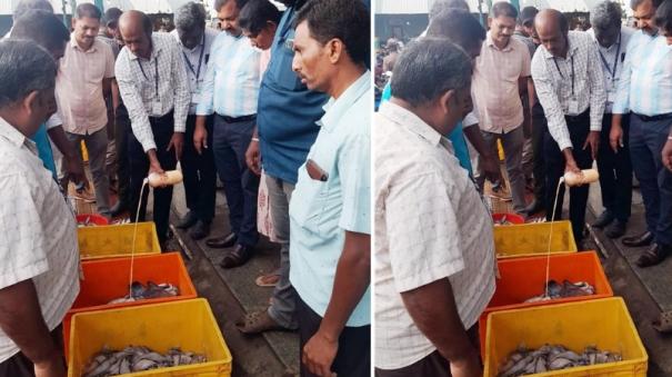 103-kg-of-spoiled-fish-confiscated-on-coimbatore