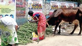 முருங்கை காய்களை வீதியில் வீசி சென்ற விவசாயிகள் - விலை சரிவால் விரக்தி