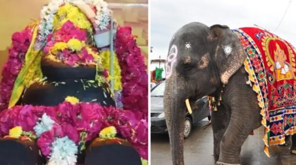 15k-rent-for-elephant-memorial-in-puducherry