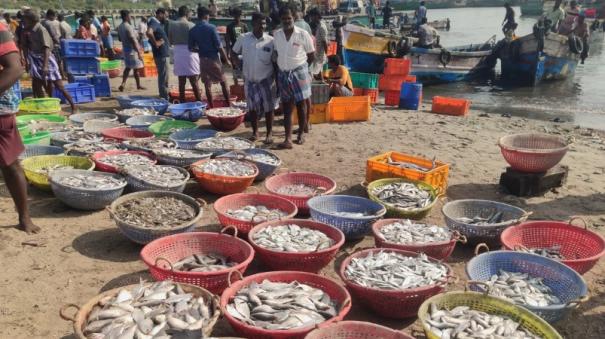 price-of-fish-on-ramanathapuram-district-has-fallen-due-to-puratasi-month