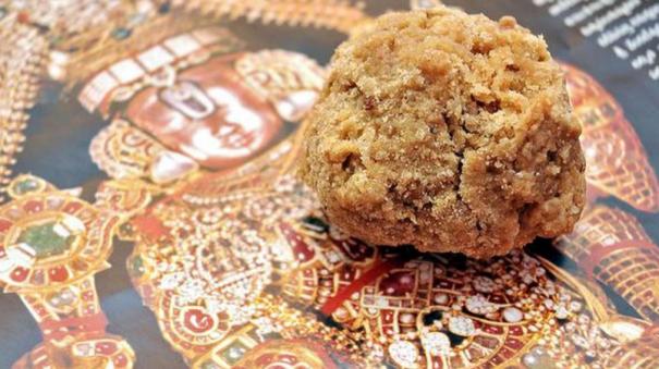 andhra-government-cites-lab-report-in-row-over-animal-fat-in-tirupati-laddu