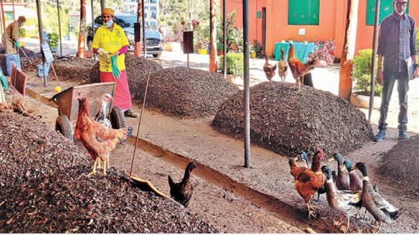 production-of-20-tonnes-of-natural-fertilizer-in-8-months-at-coonoor