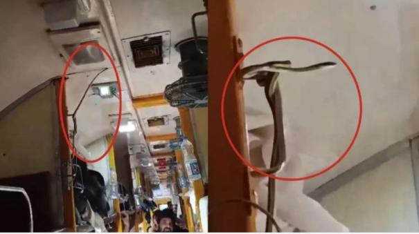 snake-dangles-from-upper-berth-of-mumbai-bound-garib-rath-express