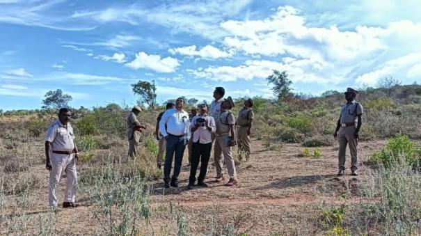 drone-monitoring-of-elephants-movement-on-tenkasi