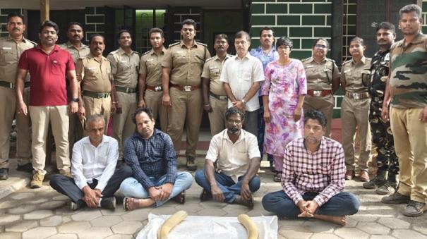 gang-trying-to-sell-elephant-tusks-arrested-on-coimbatore