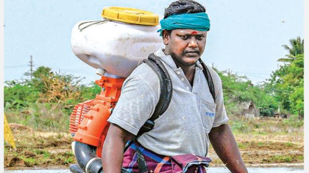 direct-seeding-of-paddy-with-power-sprayer-in-thanjavur