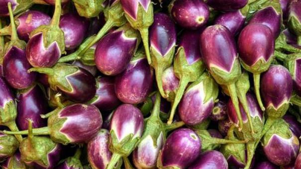 brinjal-price-dropped-in-koyambedu-market