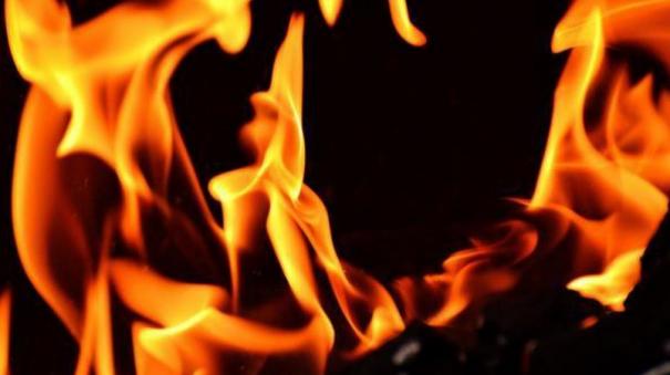 tripura-woman-allegedly-tied-to-tree-burnt-alive-by-sons-family-dispute-suspected