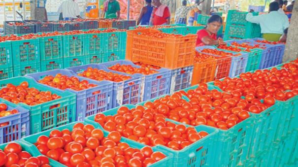 tomatoes-are-sold-at-rs-70-per-kg-in-krishnagiri