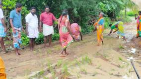 குறிஞ்சிப்படி அருகே தார் சாலை அமைக்கக் கோரி நாற்று நடும் போராட்டம்