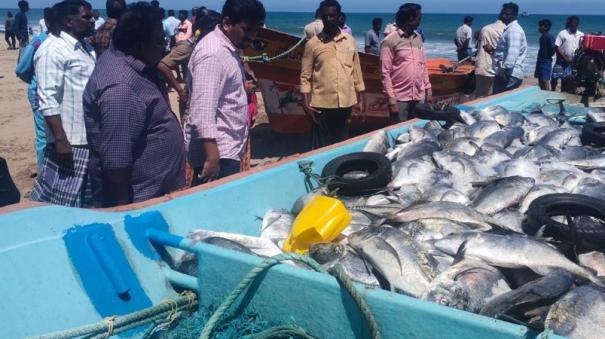 1-5-tons-of-fishes-caught-on-short-net-on-cuddalore-confiscated