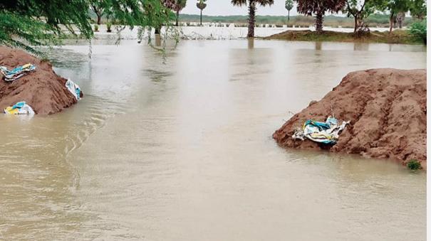 10000-acres-of-paddy-were-submerged-in-ramanathapuram