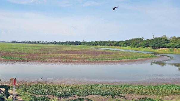 bahour-lake-maintenance-issue-in-puducherry