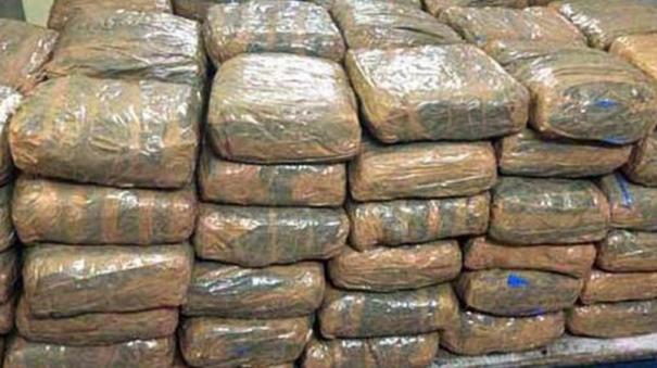 200-kg-of-ganja-worth-rs-20-lakh-smuggled-from-andhra-pradesh-seized