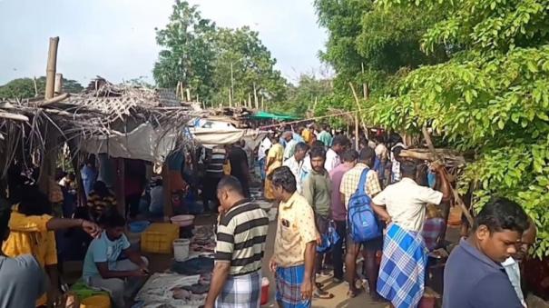 first-sunday-after-puratasi-people-flock-to-buy-fish