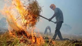 haryana-14-farmers-arrested-for-straw-burning-24-officials-suspended