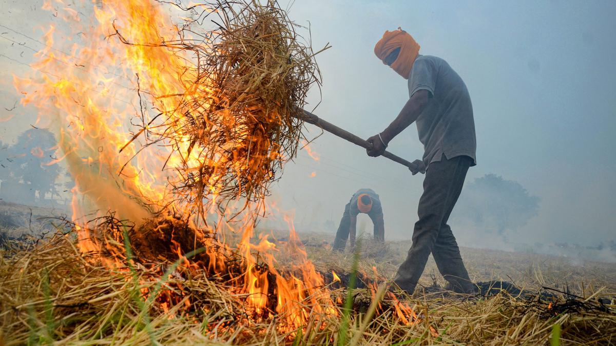 haryana-14-farmers-arrested-for-straw-burning-24-officials-suspended