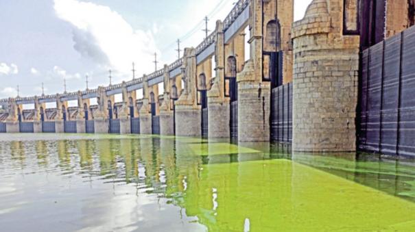 water-level-of-mettur-dam-reached-100-feet