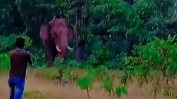 selfie-gone-wrong-wild-elephant-tramples-labourer-to-death-in-maharashtra