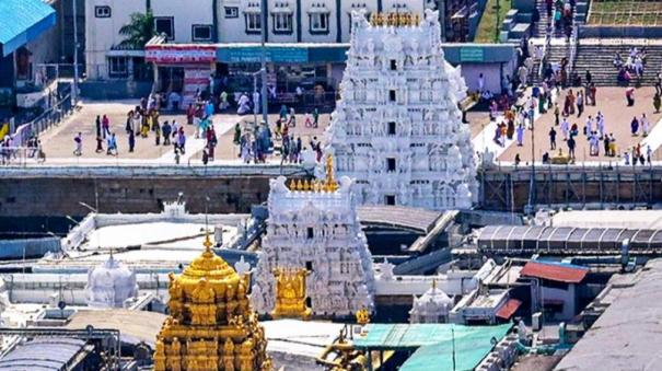 elder-people-should-not-come-to-tirumala-as-padayatra-ttd