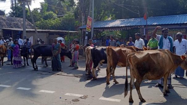 farmers-road-block-with-cattle-protesting-relocation-of-veppathur-veterinary-hospital