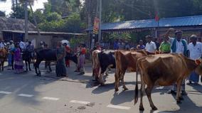 கும்பகோணம் - வேப்பத்தூர் கால்நடை மருத்துவமனை இடமாற்றம்: விவசாயிகள் ஆடு, மாடுகளுடன் சாலை மறியல்