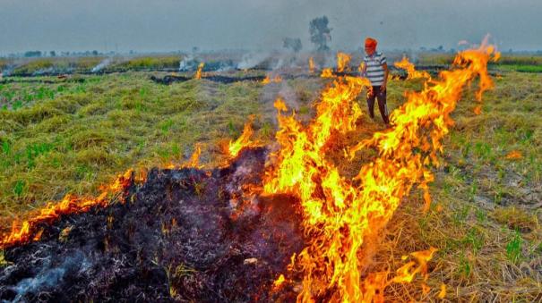 new-penalty-for-stubble-burning-in-delhi-farmers-to-face-fines-up-to-rs-30000