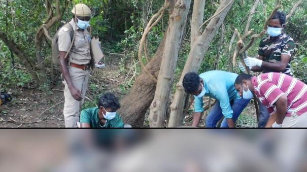 a-male-elephant-died-mysteriously-in-the-forest-near-udumalai