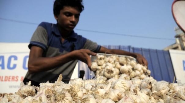 garlic-prices-continue-to-rise-koyambedu-market-sells-at-rs-380-per-kg