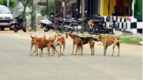 தெருநாய்கள் கடித்து 14 மாத ஆண் குழந்தை உயிரிழப்பு: ஆந்திராவில் பரிதாபம்