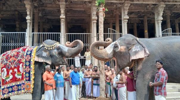 planting-of-pandakal-on-srirangam-temple-on-the-occasion-of-vaikuntha-ekadashi