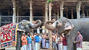 ஸ்ரீரங்கம் கோயிலில் வைகுண்ட ஏகாதசியை முன்னிட்டு பந்தல்கால் நடும் வைபவம்