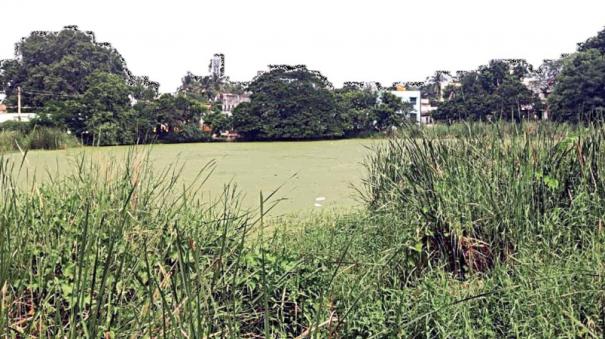 pond-dredged-issue-in-thirukalimedu